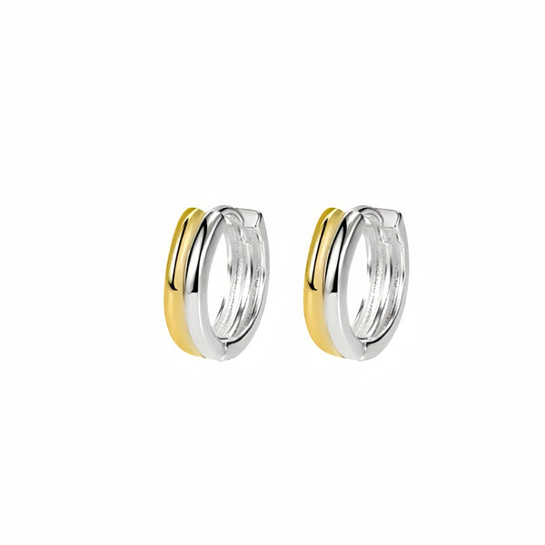 Two Tone Earrings